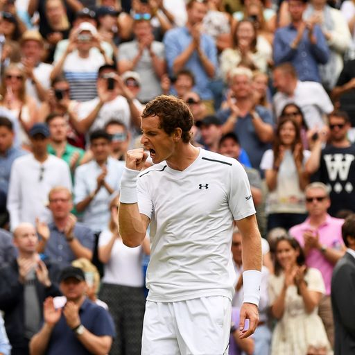 Murray wary of 'dangerous' Fabio