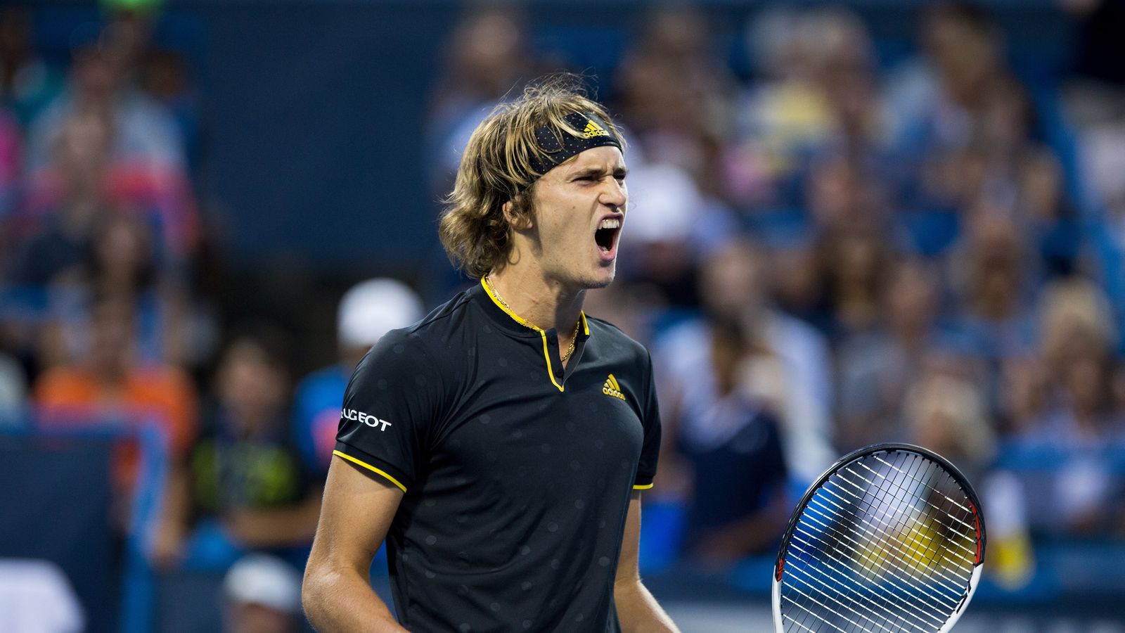 Alexander Zverev wins Citi Open with victory over Kevin Anderson