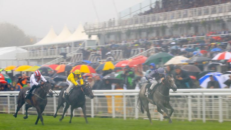 Havana Grey ridden by jockey P McDonald on his way to winning the Bombay Sapphire Molecomb Stakes during day two of the Qatar Goodwood Festival at Goodwood