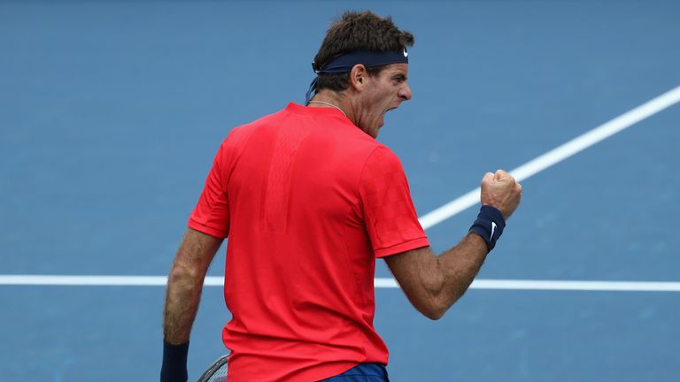 MASON, OH - AUGUST 15: Juan Martin Del Potro of Argentina celebrates match point after defeating Tomas Berdych of the Czech Republic during the Western and