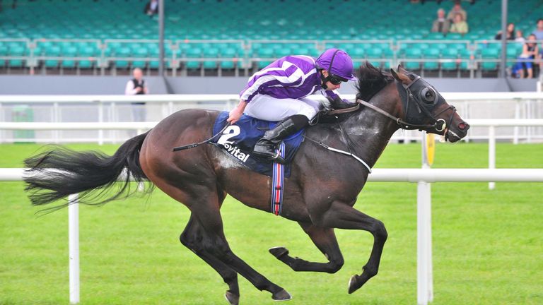 US Navy Flag: Could run in Irish 2000 Guineas