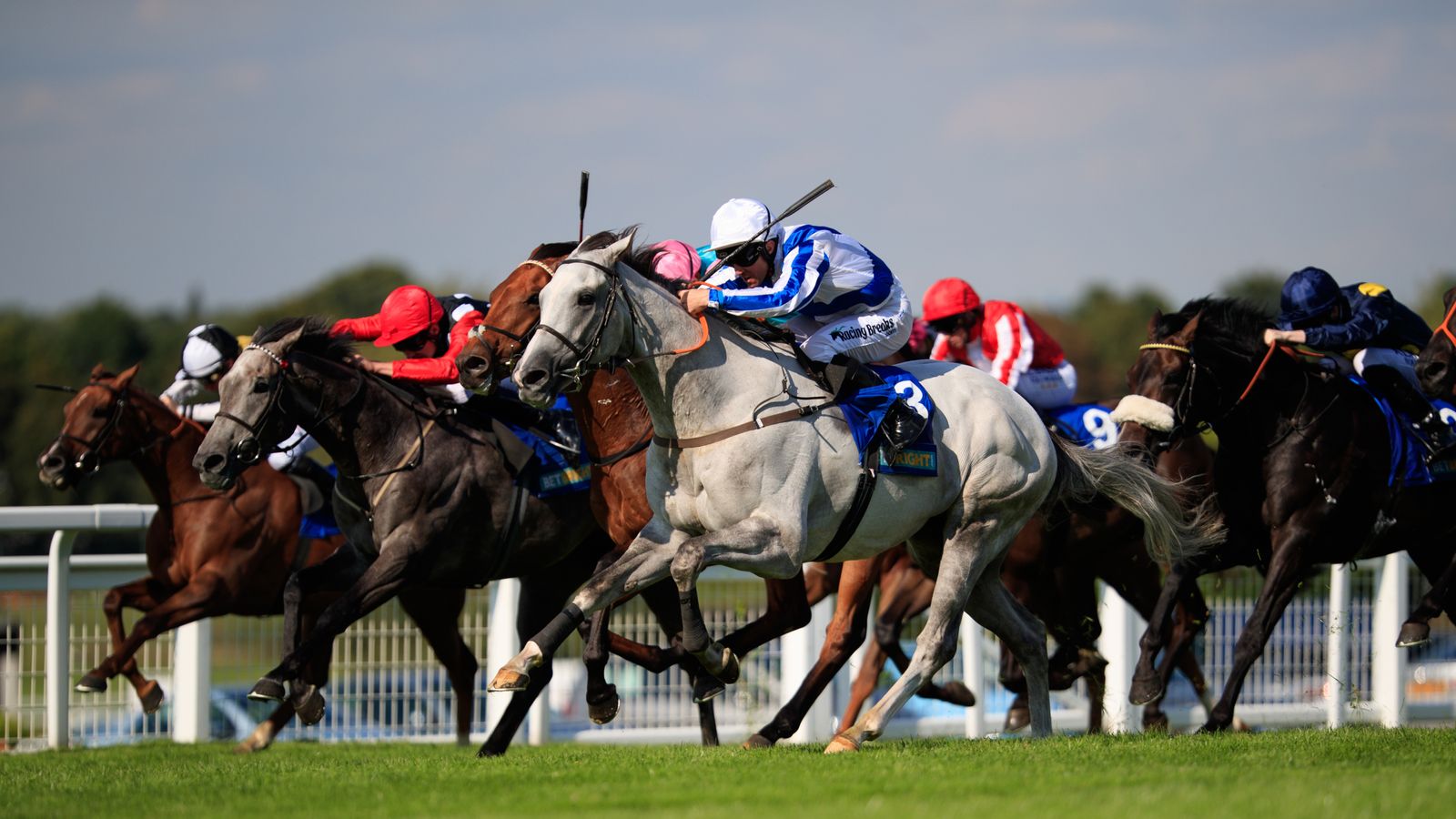 Thundering Blue heading back to France | Racing News | Sky Sports