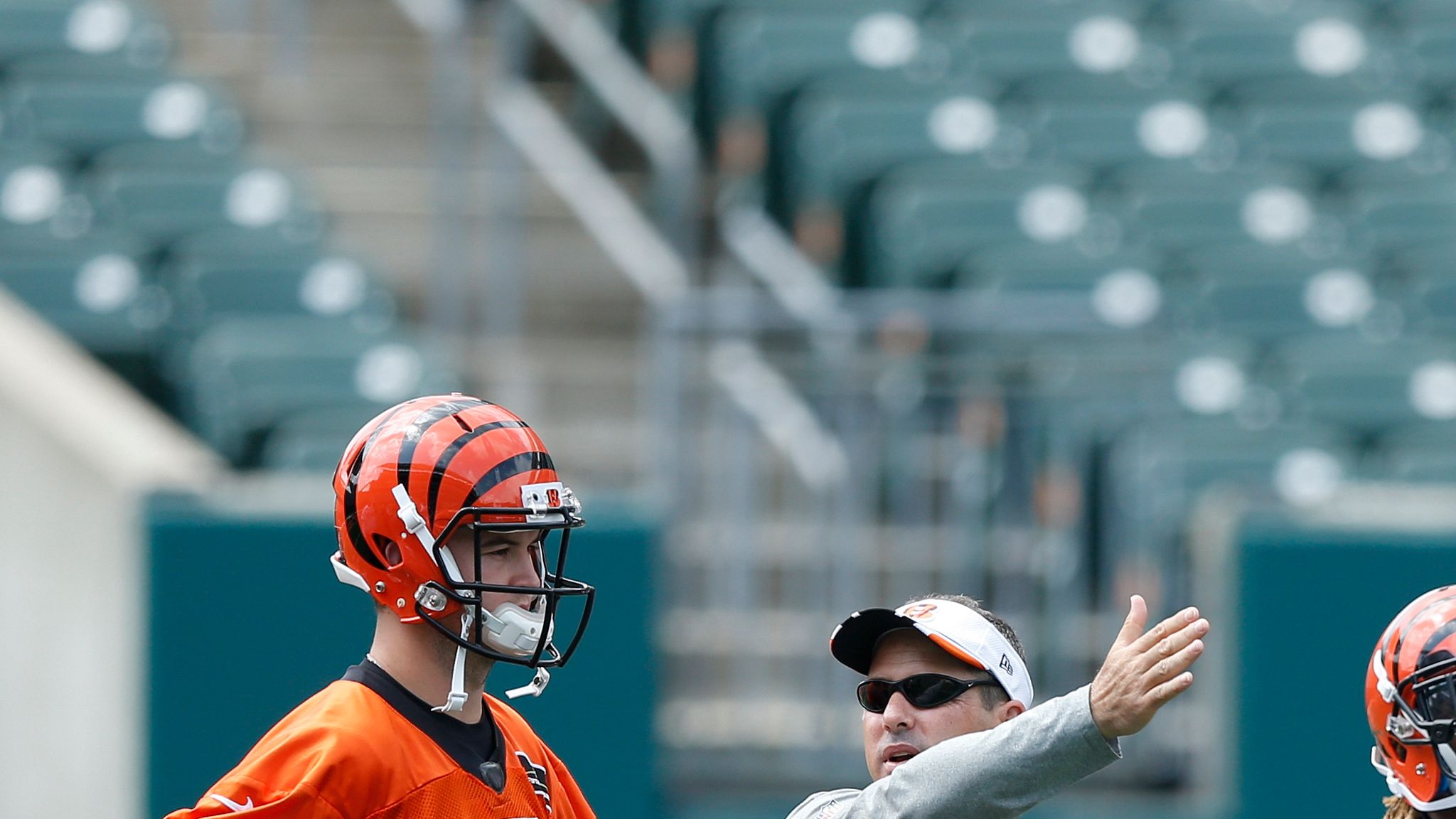 An Inside Look at the Cincinnati Bengals' Toxic Culture - Sports