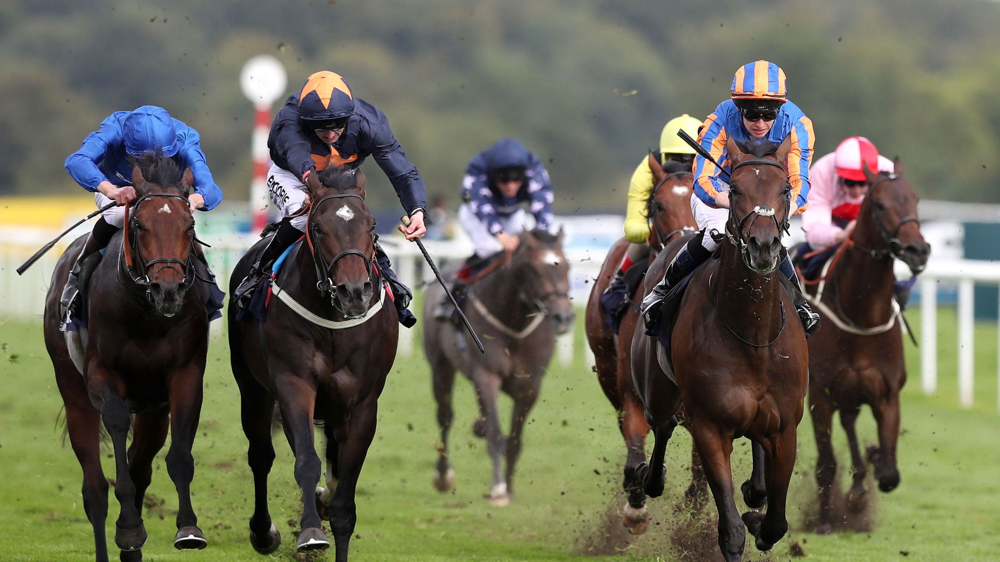 Doncaster St Leger day photo gallery | Racing News | Sky Sports