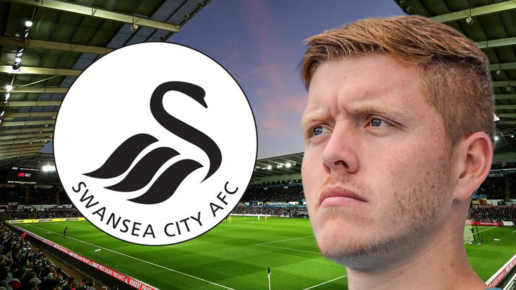 Alfie Mawson has become a key player for Swansea