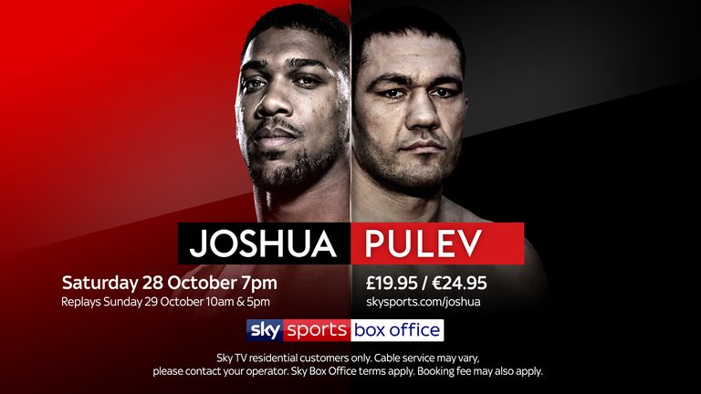 Joshua v Pulev