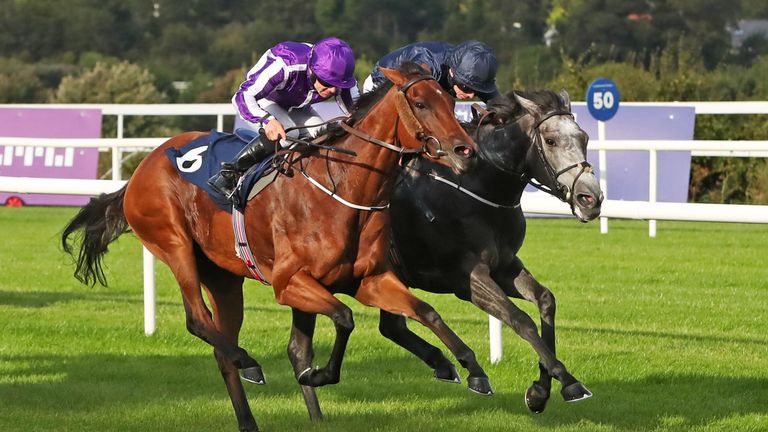 Hydrangea ridden by Wayne Lordan wins The Coolmore Fastnet Rock Matron Stakes during day one of the Longines Irish Champions Weekend at Leopardstown Raceco