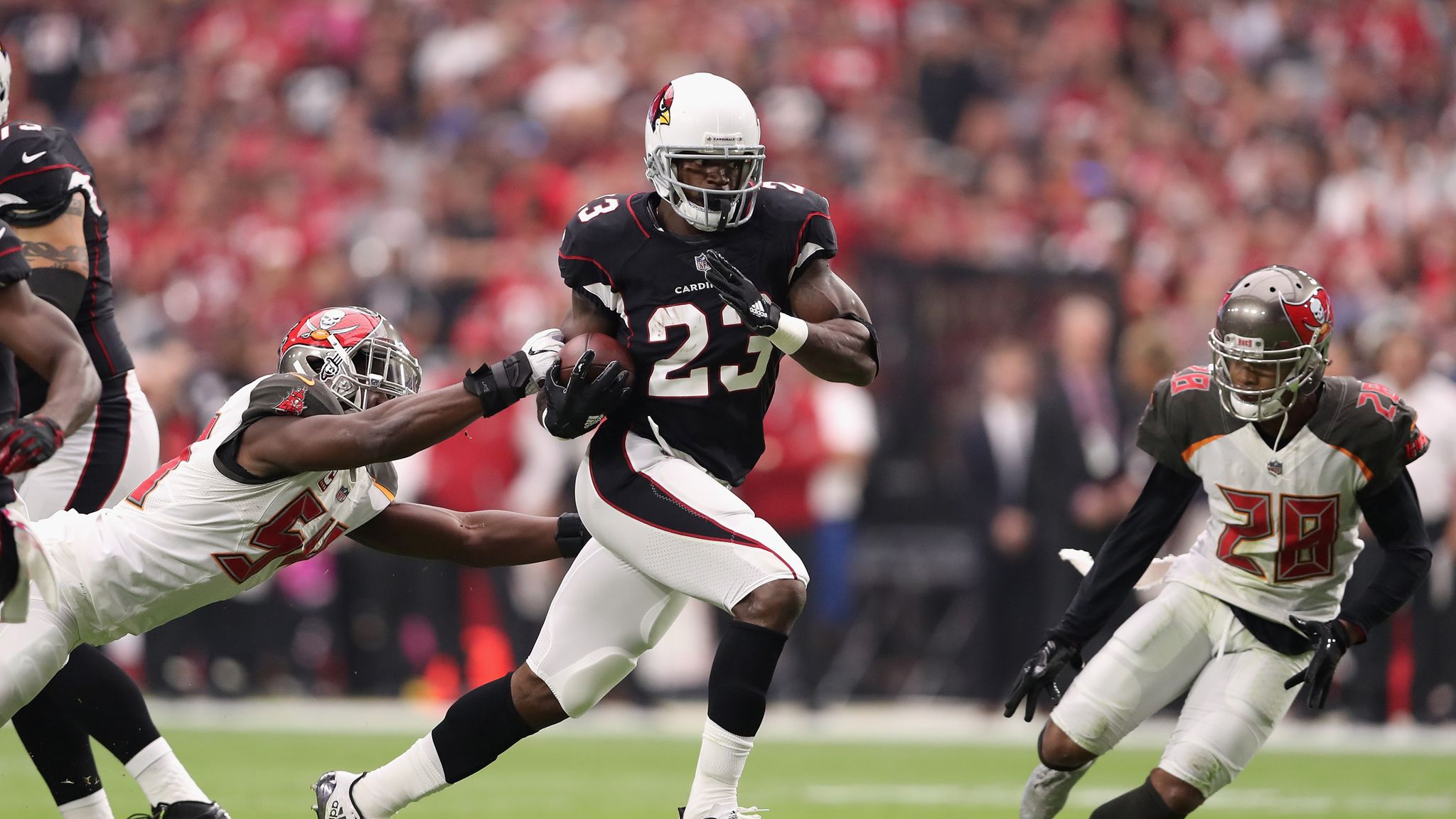 Adrian Peterson: Arizona Cardinals set for Super Bowl after