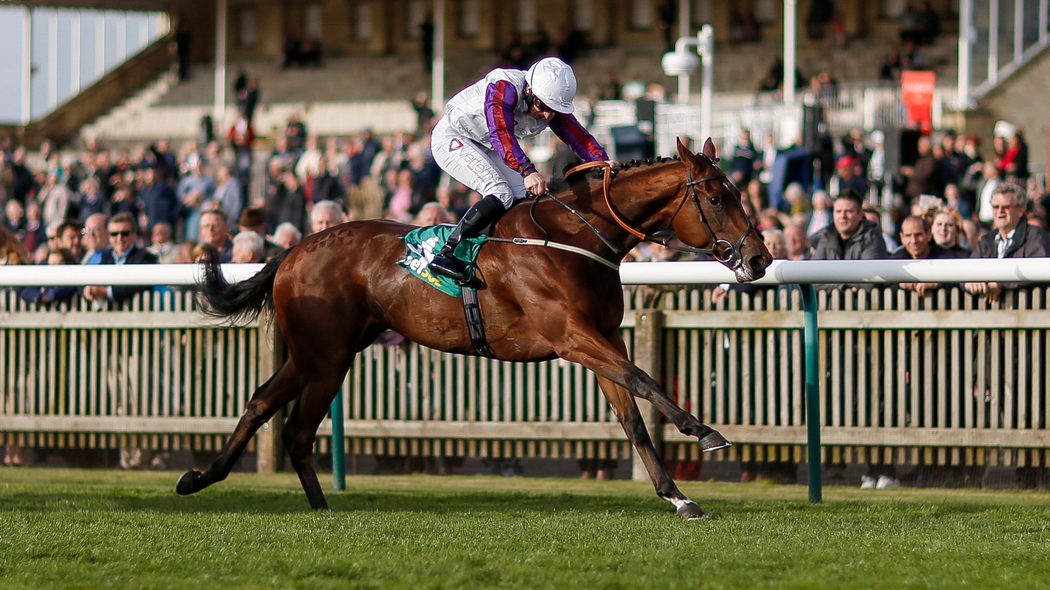 Racecourse gallop at Newcastle for Laurens Racing News Sky Sports