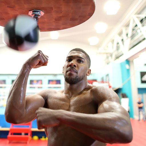 The road to Joshua-Takam