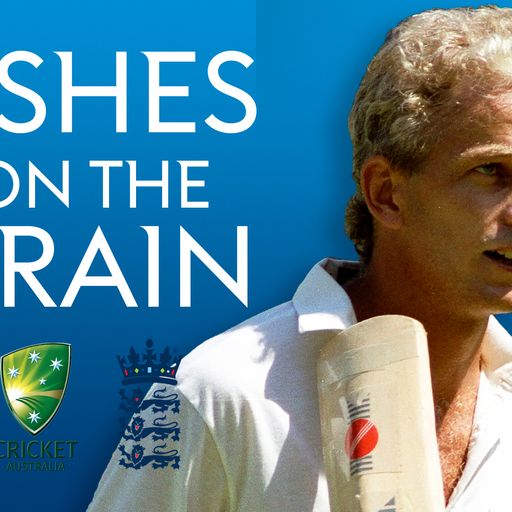 Ashes on the Brain: David Gower