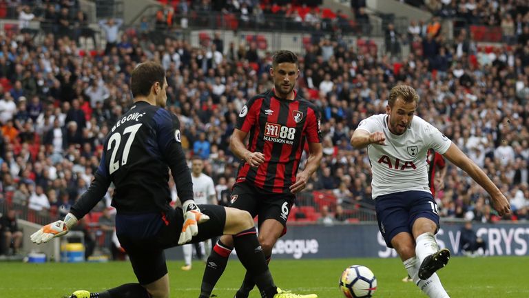 Asmir Begovic pulled off a number of crucial saves for Bournemouth against Tottenham