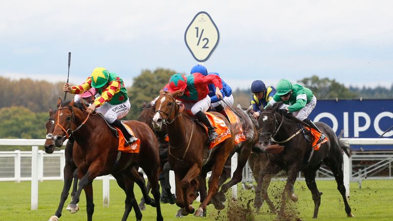 Danehill Kodiac ridden by Sean Levy (left) gets the better of Waldgeist ridden by Vincent Cheminaud to win The Gigaset Cumberland Lodge Stakes