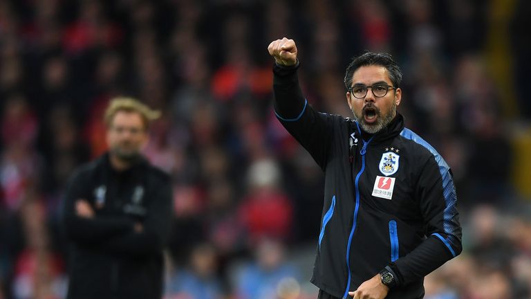LIVERPOOL, UNITED KINGDOM - OCTOBER 28: David Wagner, Manager of Huddersfield Town gives his team instructions during the Premier League match between Live