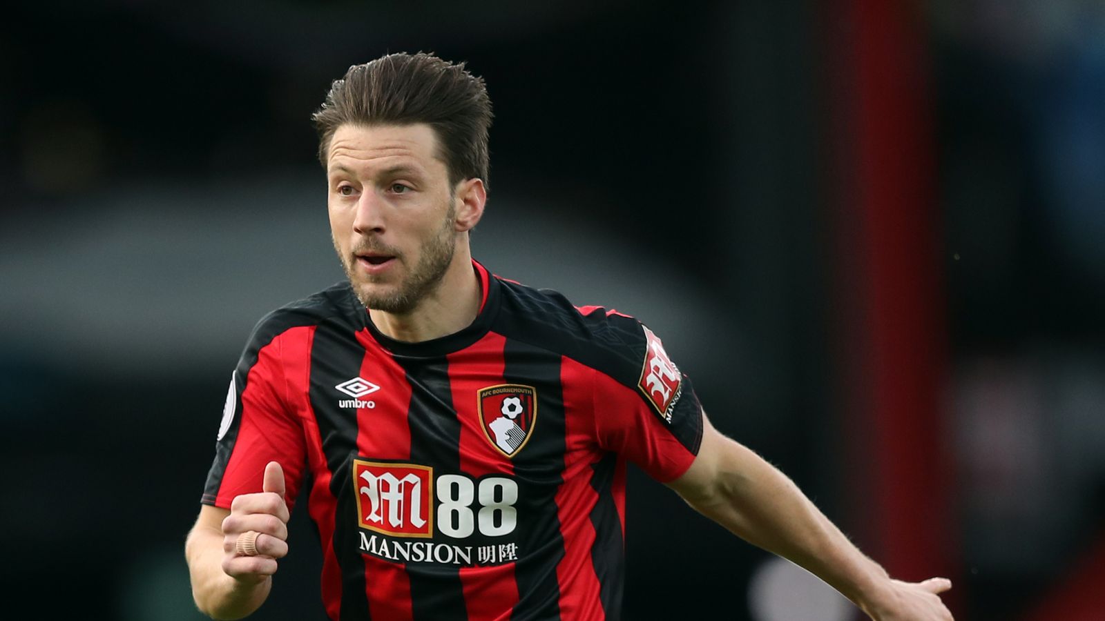 Harry Arter Harry Arter