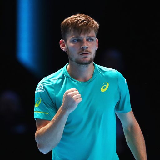 Goffin sets up Federer date