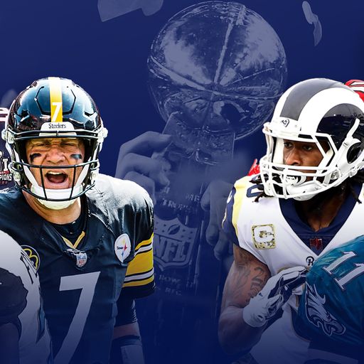 Who will make the NFL playoffs?