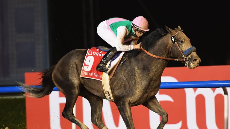 DUBAI, UNITED ARAB EMIRATES - MARCH 25:  Mike Smith riding Arrogate wins the Dubai World Cup Sponsored By Emirates Airline during the Dubai World Cup at th