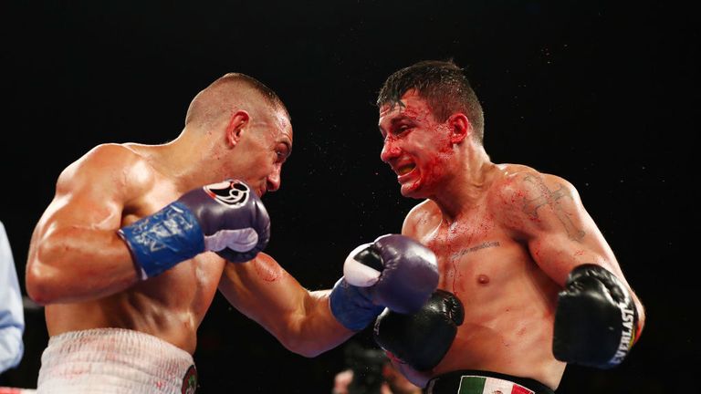 Cletus Seldin punches  Roberto Ortiz during their Junior Welterweight  bout at Nassau Veterans Memorial Coliseum on November 11