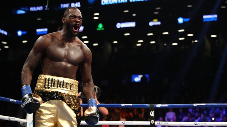 NEW YORK, NY - NOVEMBER 04:  Deontay Wilder celebrates after knocking down Bermane Stiverne in the first round during their rematch for Wilder's WBC heavyw