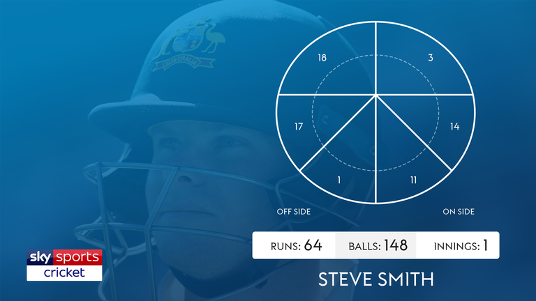 Steve Smith, wagon wheel