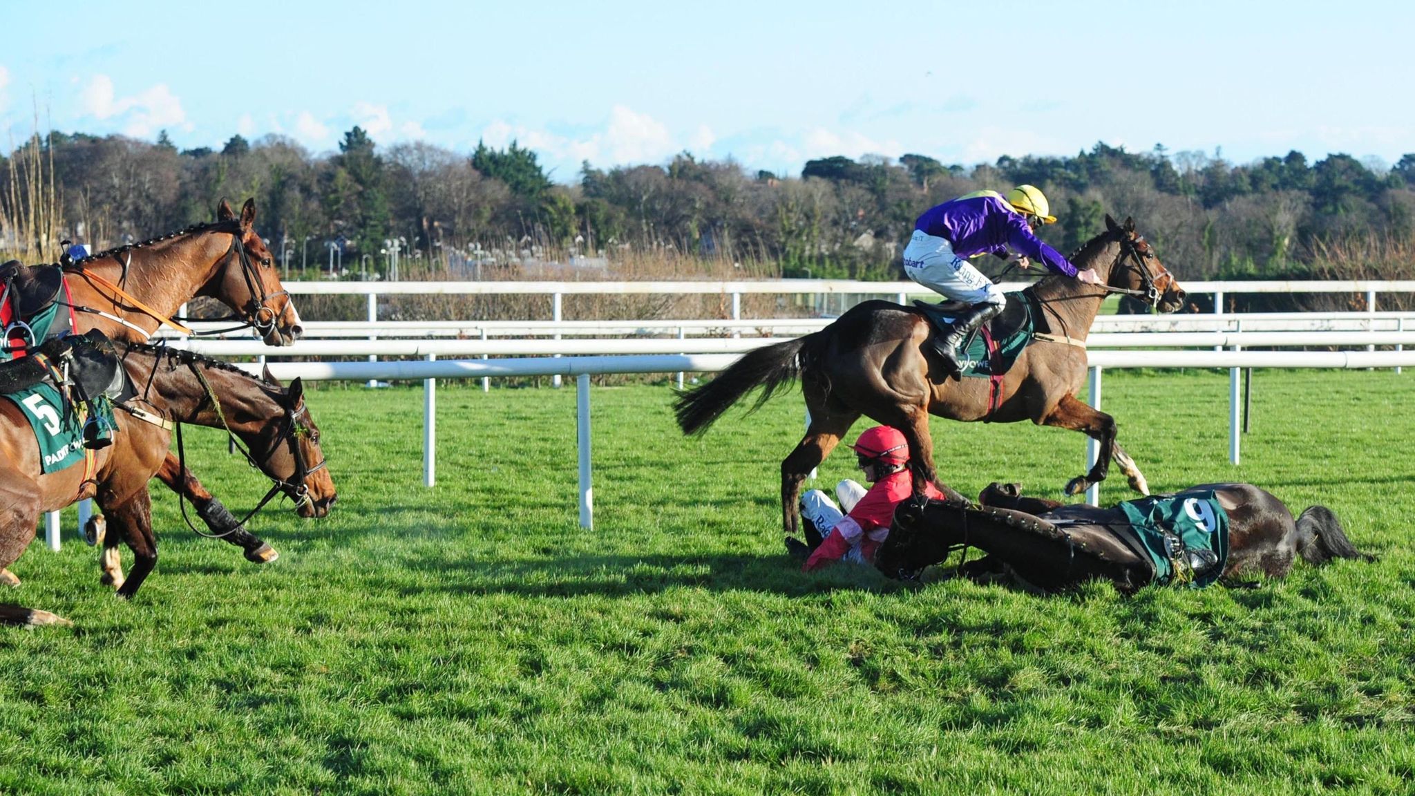 Whiskey Sour handed lucky victory at Leopardstown Racing News Sky