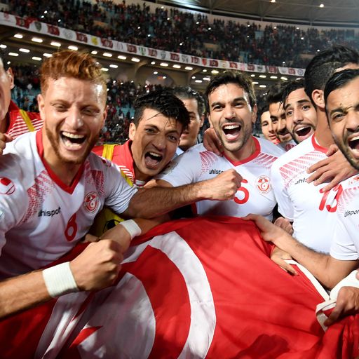 World Cup team profile: Tunisia