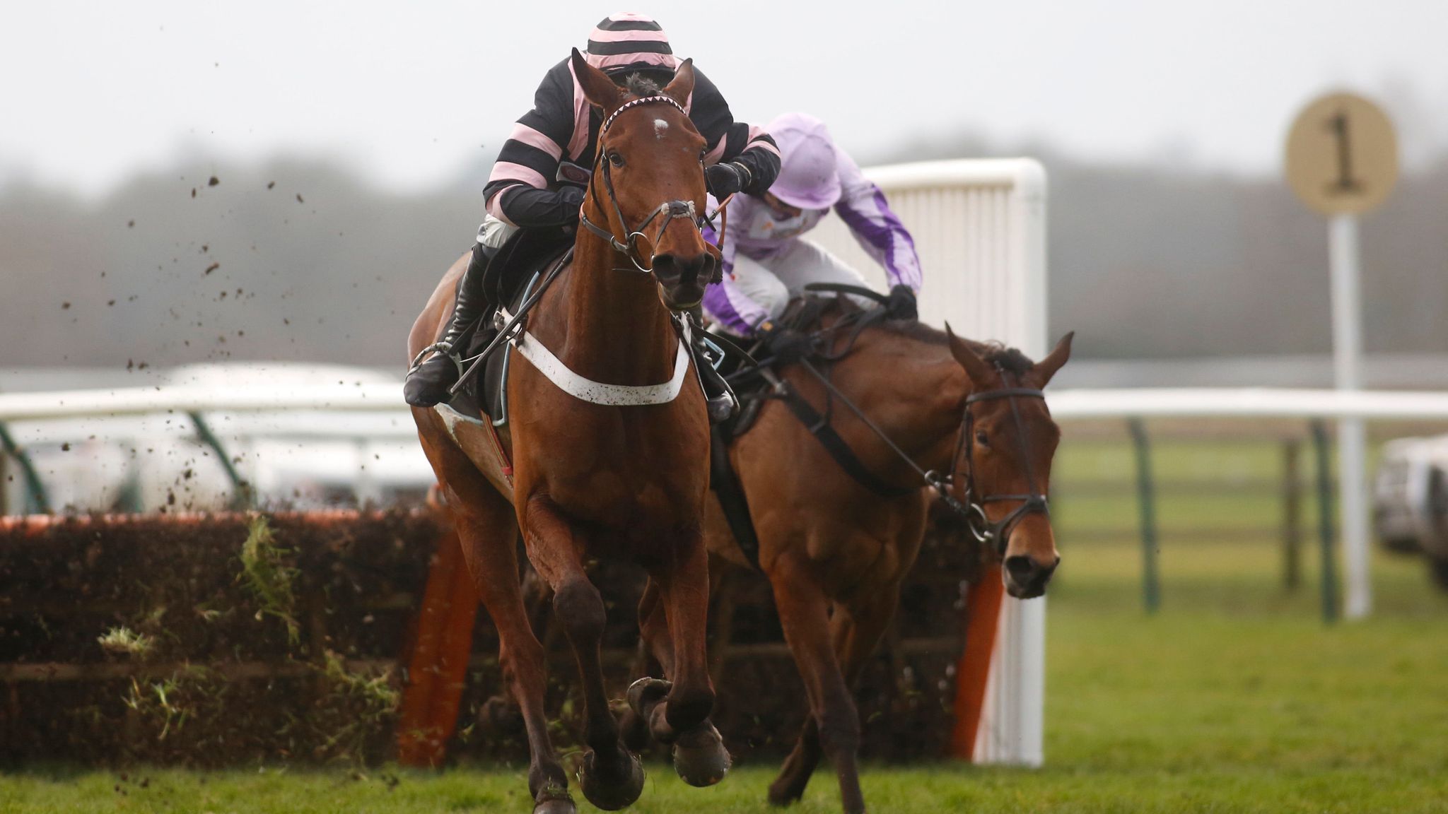 Mr Whipped too good for Warwick rivals Racing News Sky Sports