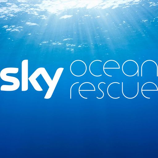 Sky Ocean Rescue- find out more