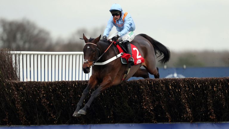 Divine Spear: One run before Cheltenham