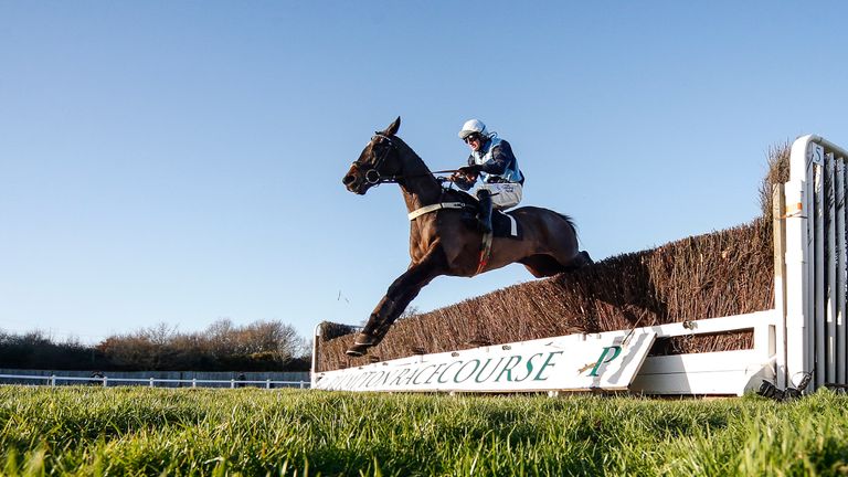 PLUMPTON, ENGLAND - JANUARY 07: Harry Bannister riding Vinnie Lewis clear the last to win The At The Races Sussex National Handicap Steeple Chase at Plumpt