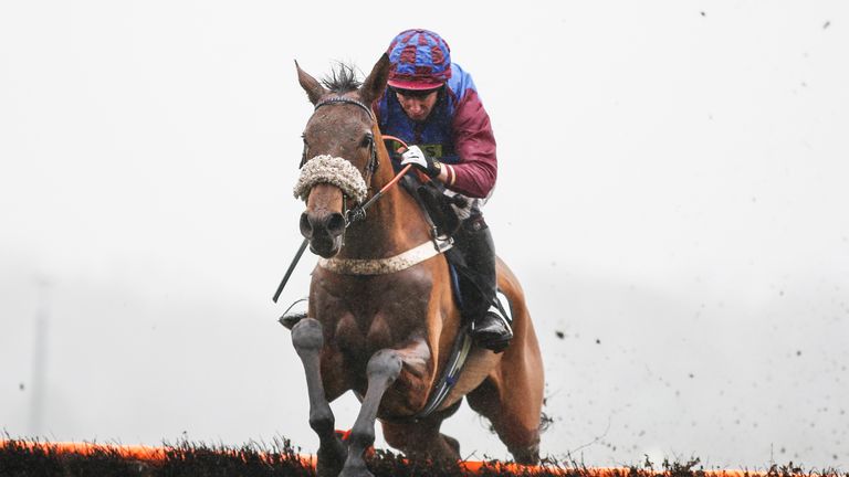 La Bague Au Roi was a classy mare over hurdles and fences