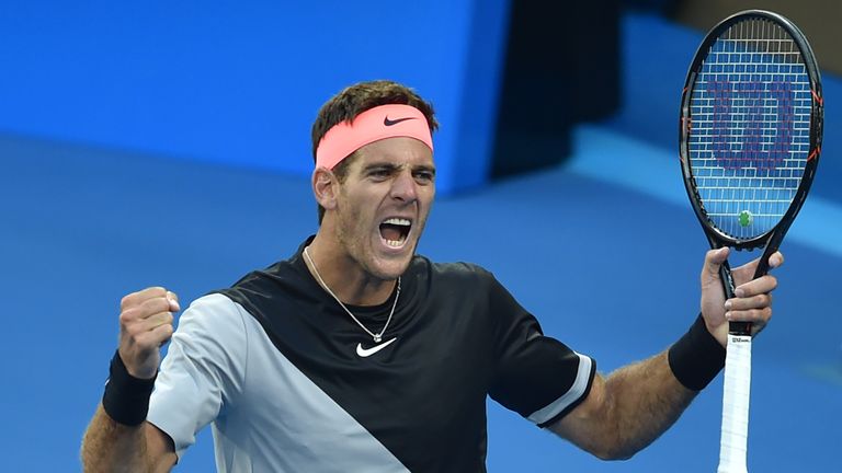 Argentina's Juan Martin del Potro celebrates after victory against Russia's Karen Khachanov in their men's singles second round match