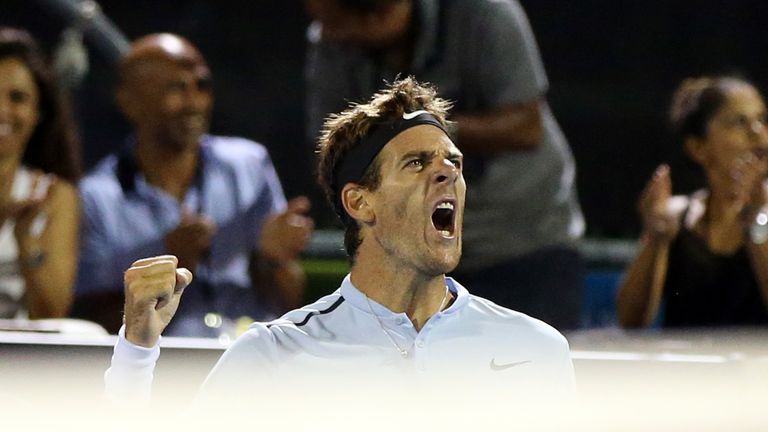 Juan Martin Del Potro of Argentina reacts to winning a point against David Ferrer of Spain during their men's singles semi-final match at the ATP Auckland 