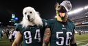 2018 NFL season: The playoff run-in