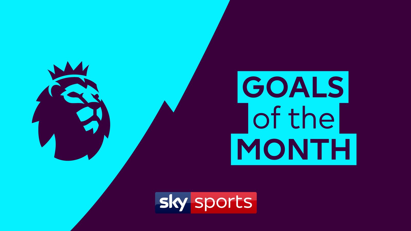 watch-vote-goals-of-the-month-in-the-premier-league-for-february