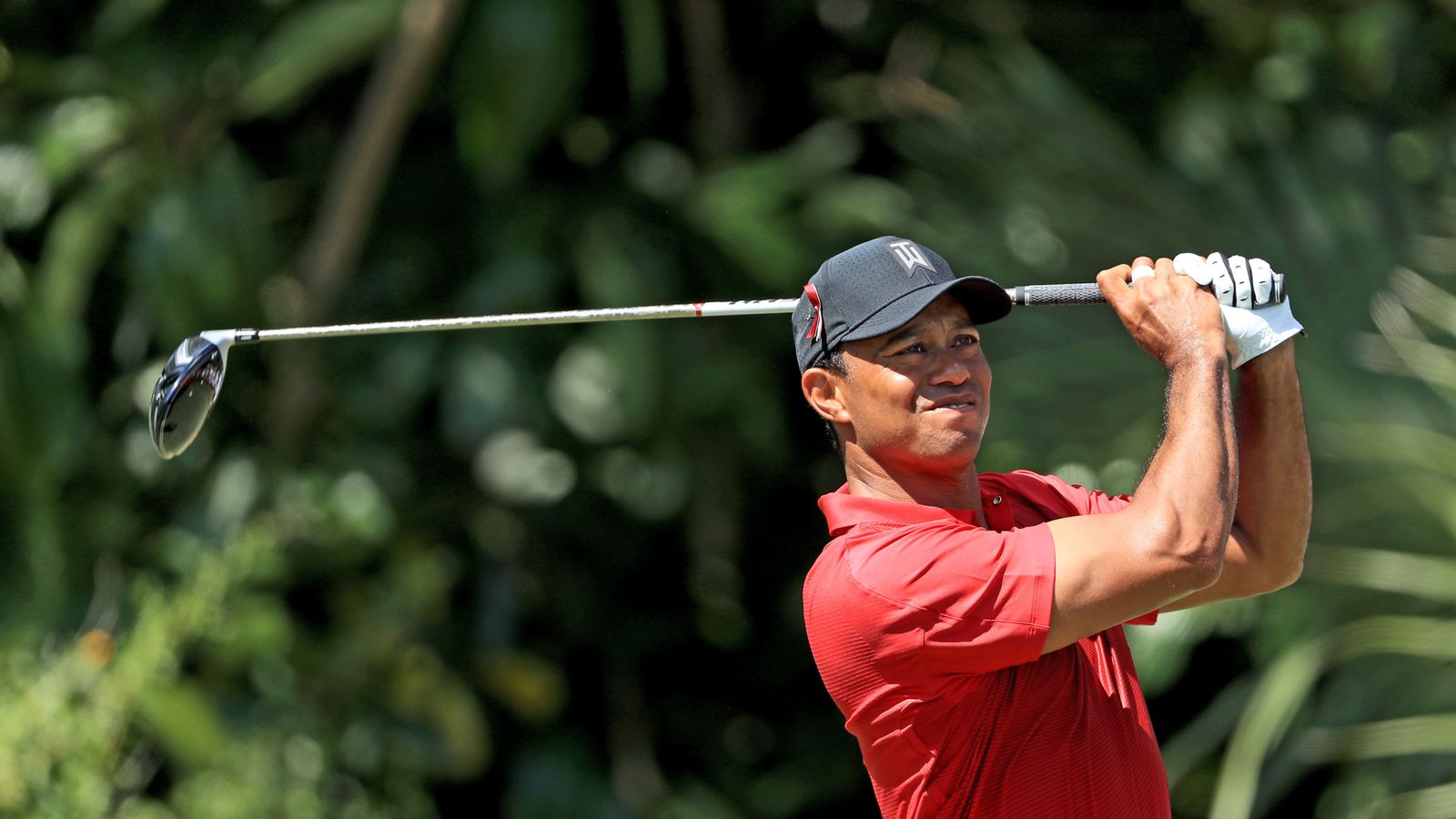 Tiger Woods hits a goose ... and a birdie on the same hole!