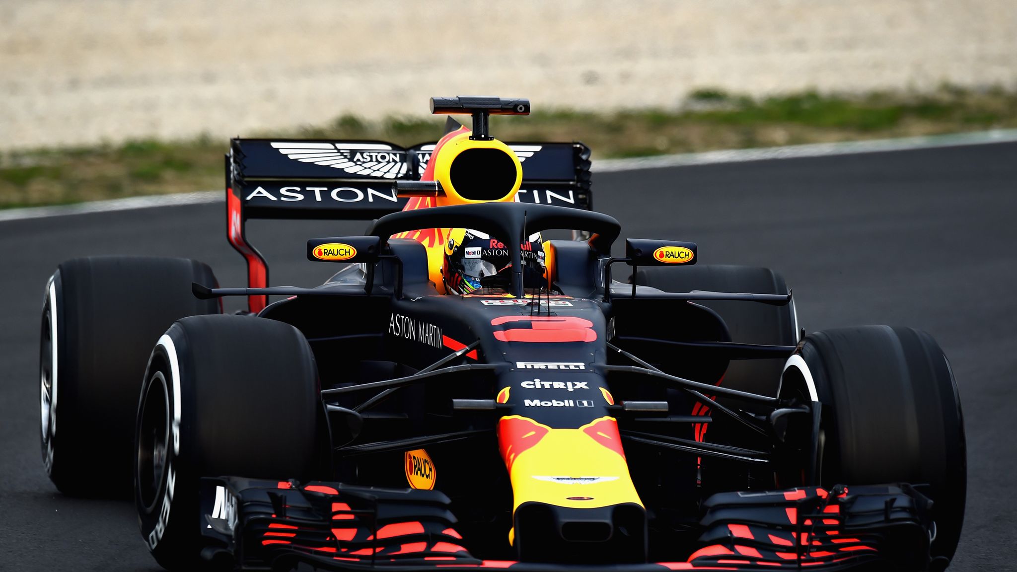 daniel ricciardo red bull