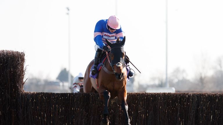 Cyrname ridden by Sean Bowen