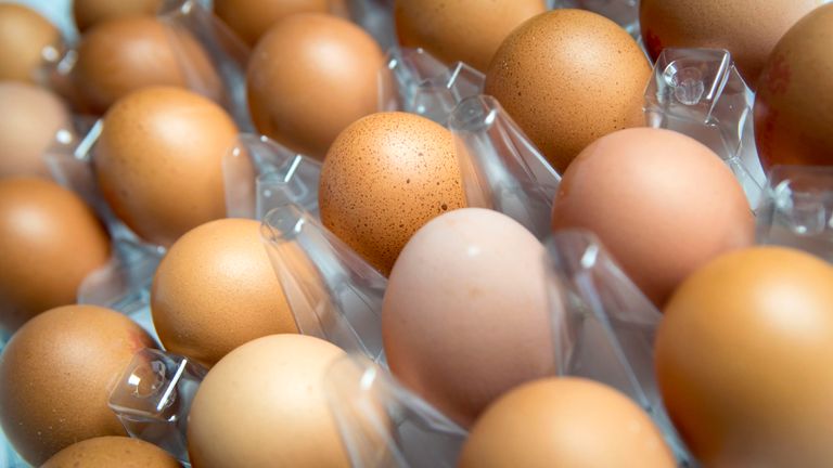 A stock image of a box of eggs