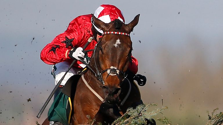 Blaklion: Won't warm up for Aintree at Cheltenham