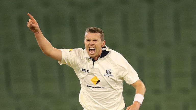Peter Siddle will bring his experience of winning the Ashes to Essex