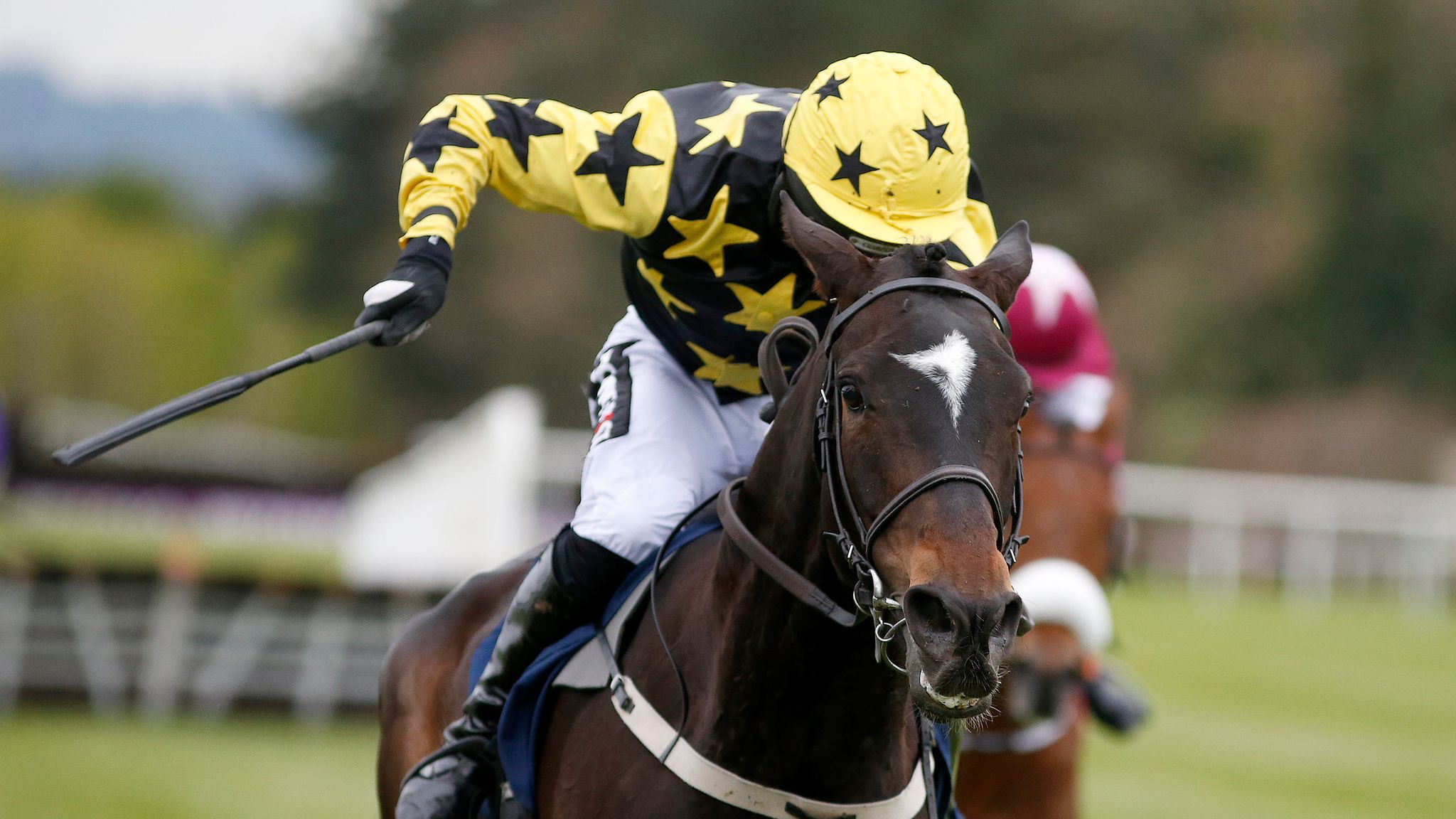AZ Guide Stayers' Hurdle Racing News Sky Sports