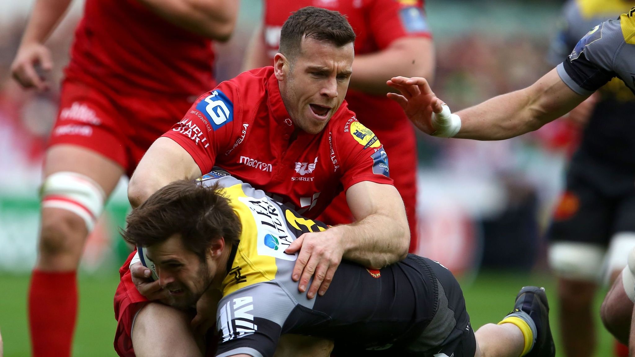 Gareth Davies targets first Champions Cup final in Scarlets history Rugby Union News Sky Sports