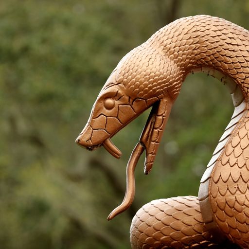 Dangers of the Snake Pit 