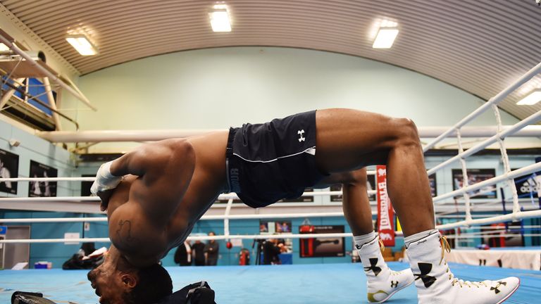 during the media workout at EIS Sheffield on April 19, 2017 in Sheffield, England.