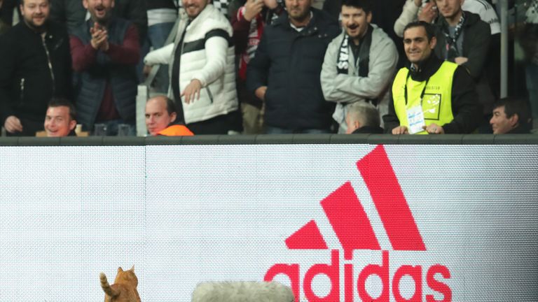 during the UEFA Champions League Round of 16 Second Leg match Besiktas and Bayern Muenchen at Vodafone Park on March 14, 2018 in Istanbul, Turkey.
