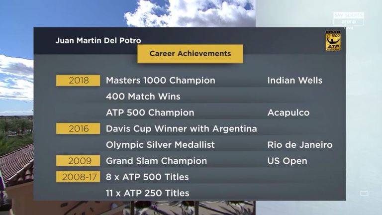 Juan Martin del Potro career achievements