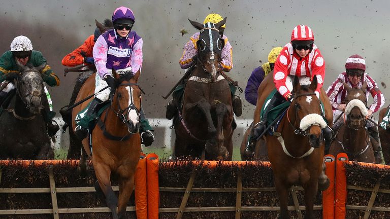 Mohaayed wins the County Hurdle at Cheltenham