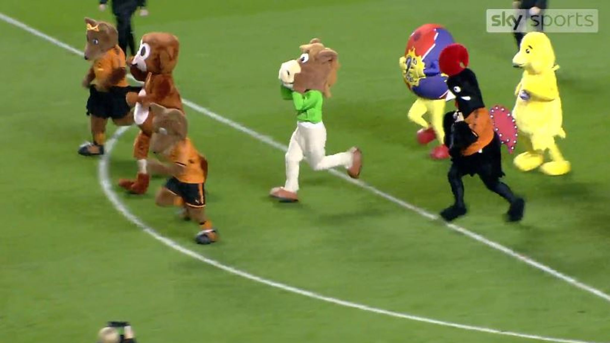 The Plymouth Argyle and AFC Wimbledon mascots play football on the